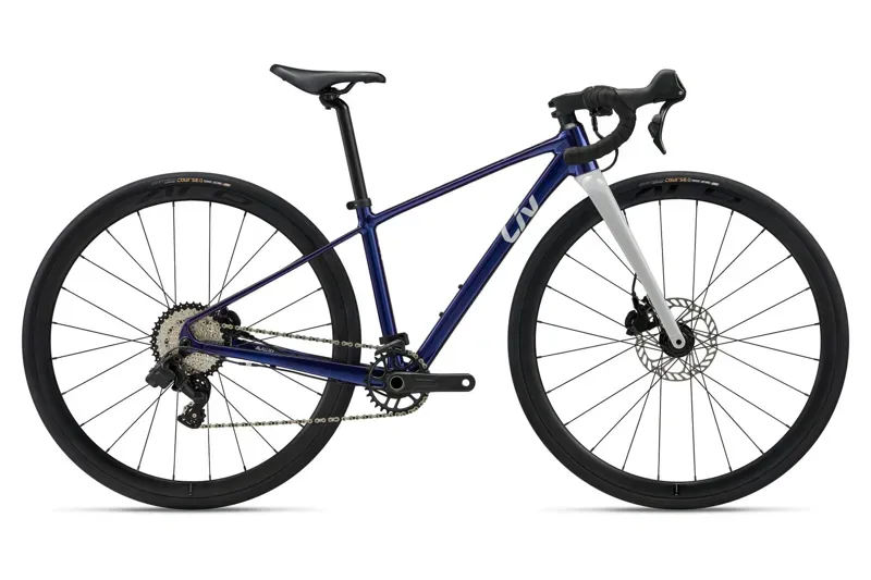 Liv Seek 2 Kids Bike in Purple Haze