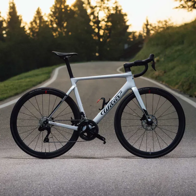 Wilier Filante SL Carbon Road Frameset in Silver/Black-6