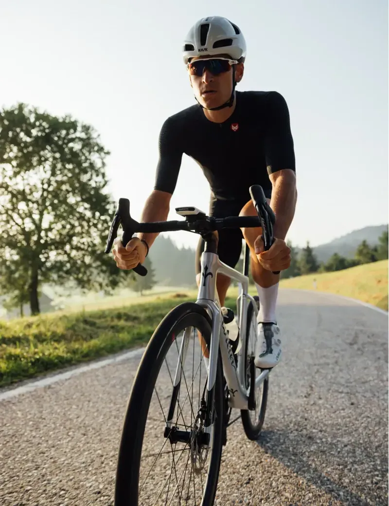 Wilier Filante SL Carbon Road Frameset in Silver/Black-8