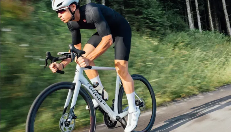 Wilier Filante SL Carbon Road Frameset in Silver/Black-9